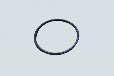 Прокладка термостата (ISBe, ISF3.8, ISF2.8) FOTON 3954829 купить у ЛОРРИ ТРАНС фото прокладка термостата (isbe, isf3.8, isf2.8) foton 3954829