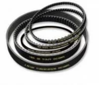 Ремень 14х10-887 (гладкий) МАЗ